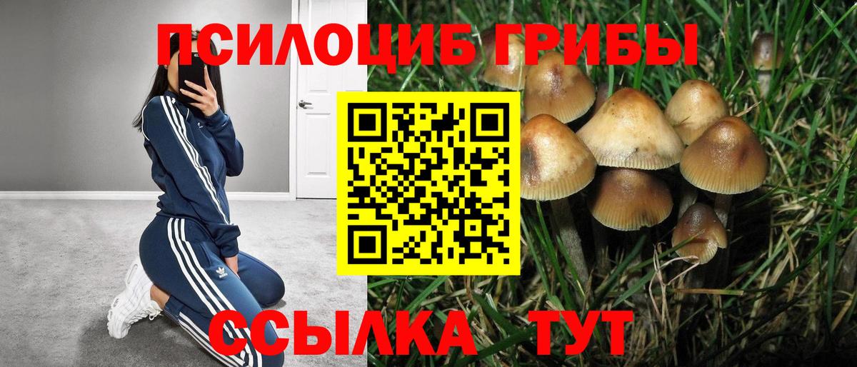 наркота  Вход с VPN  Моршанск  Галлюциногенные грибы ЛСД 