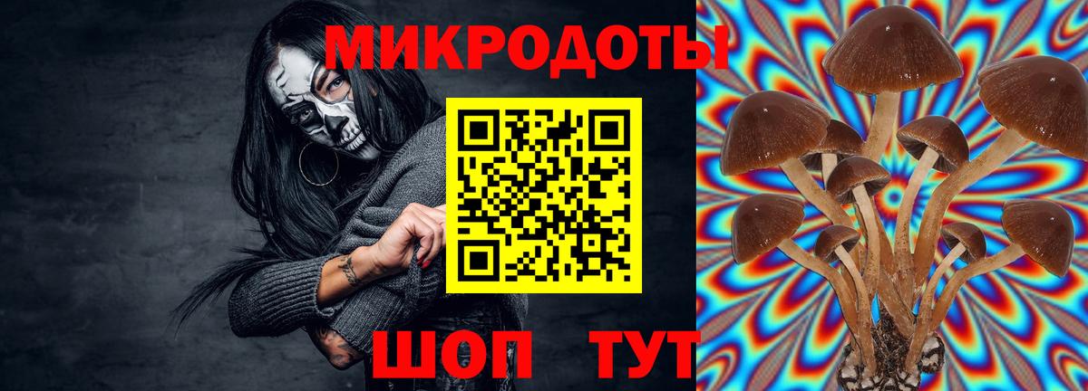 Псилоцибиновые грибы мухоморы Моршанск